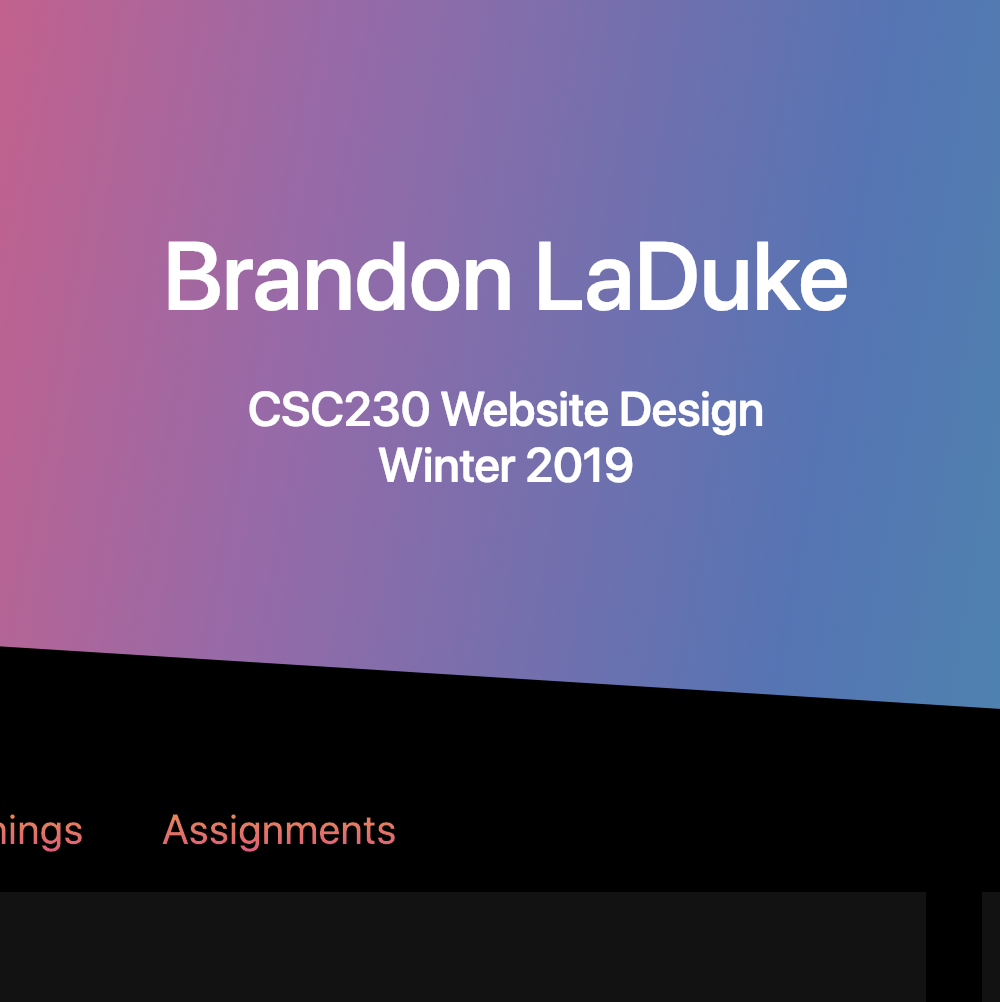 Screenshot of this site header haha